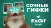 ExGifs | Гифки