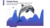 Бесплатные сигналы для быстрой прибыли Dolphin Sonar