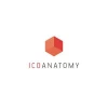 ICOanatomy