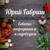 Советы огородникам и садоводам