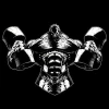 О спортивном питании и спортивной фармаколоогии
