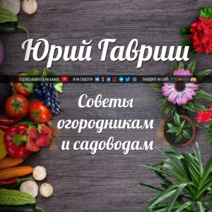 Советы огородникам и садоводам